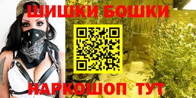 прущие крисы Будённовск
