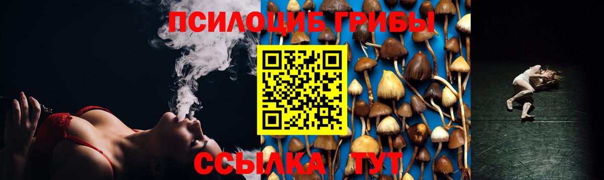 закладка  Псилоцибиновые грибы мухоморы  Вход с VPN  Ростов-на-Дону 